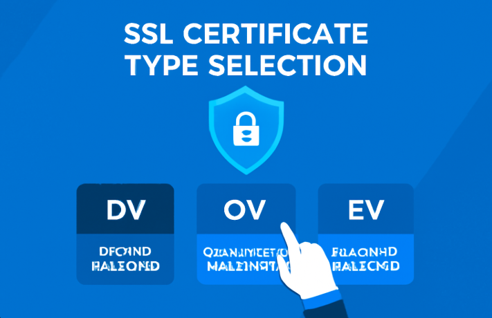 SSL 证书类型.png